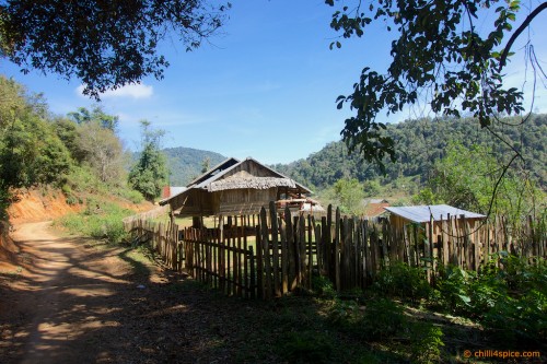 DSC0031