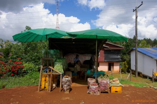 DSC0056