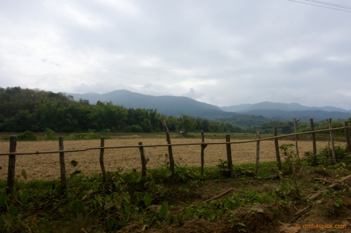 DSC012