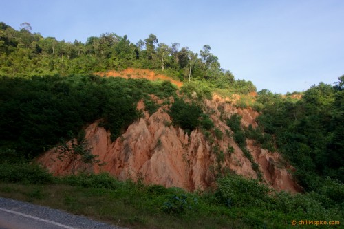 DSC053