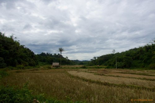 DSC070